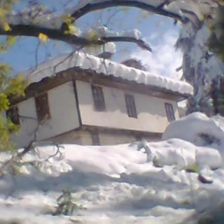 Къщата На Художника